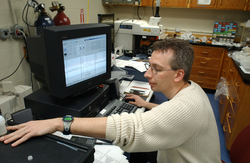 Bernhard Peucker-Ehrenbrink in his lab.