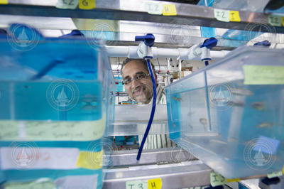 Neel Aluru in the lab with fish tanks.