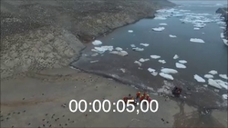 Aerial drone footage of discovered Adélie penguin colony on Danger Island.