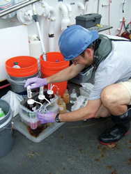 Ben Van Mooy adding chemical reagents to water samples.