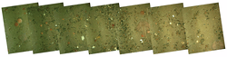 HabCam mosaic image of the seafloor.
