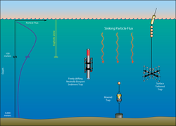 Different types of Sediment Traps shown in the ocean at depths.