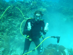 Jessica Carilli underwater holding coral core samples.