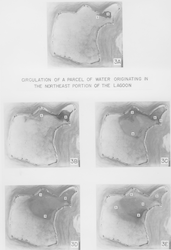 Circulation of a Parcel of Water Originating in the Northeast Portion of the Lagoon