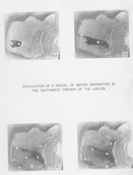 Circulation of a Parcel of Water Originating in the Southwest Portion of the Lagoon
