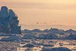 Icebergs and seabirds off Greenland.