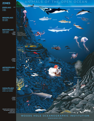 Water column marine life and Alvin poster, with labels version.
