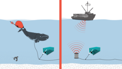 Ropeless fishing or on-demand seafloor trap recovery system.