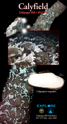 Calyfield Hydrothermal Vent Poster