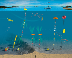 CICOR underwater observatory mural illustration.