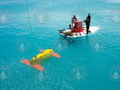 AUV Sentry and DSV Alvin at the surface of the water together.