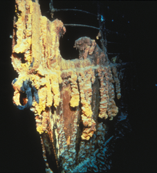The RMS Titanic wreck prow adorned with rusticles, or icicles of rust.