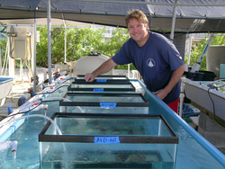 Konrad Hughen at Mote Marine Lab on Summerland Key.