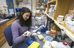 Diane Poehls working in the lab.