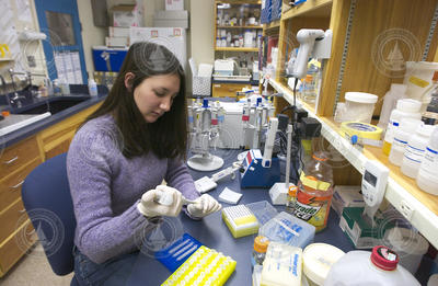 Diane Poehls working in the lab.