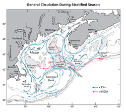 Currents map of the Gulf of Maine.