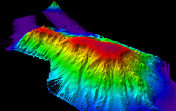 Multibeam sonar image of Kelvin Seamount.
