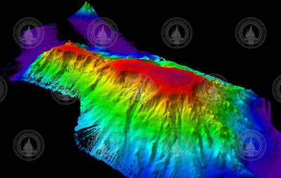 Multibeam sonar image of Kelvin Seamount.