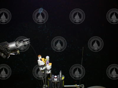 Alvin manipulator sampling at TAG, MAR during Alving Dive 3897.