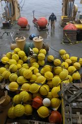 A pile of yellow mooring floats.