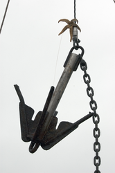 Starfish (seastar) riding on an anchor chain.
