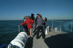 2004 Ocean Science Journalism Fellows standing at the bow of Tioga.