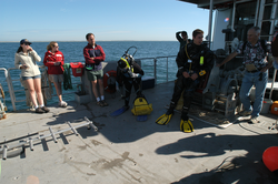2004 Ocean Science Journalism Fellows aboard Tioga with divers.