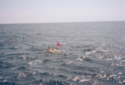 Buoy in water, as seen from R/V Knorr