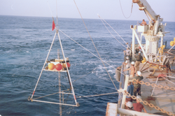 Working on deck of Knorr, buoy over the side