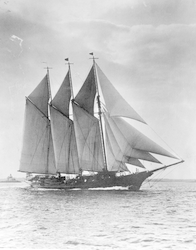 Full view of the Vema under sail